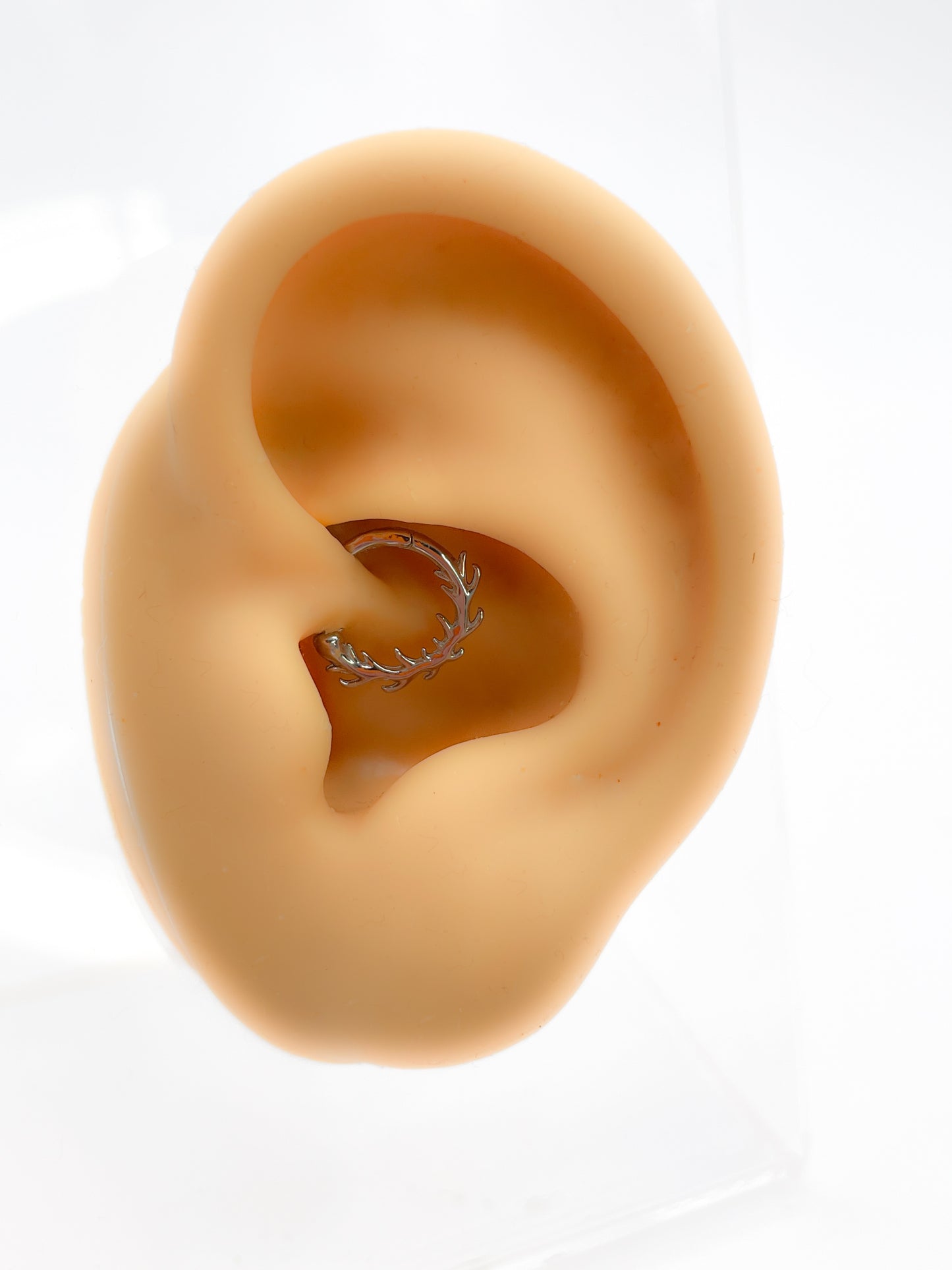 Daith Piercing hoop 925 Silber vergoldet Zweig