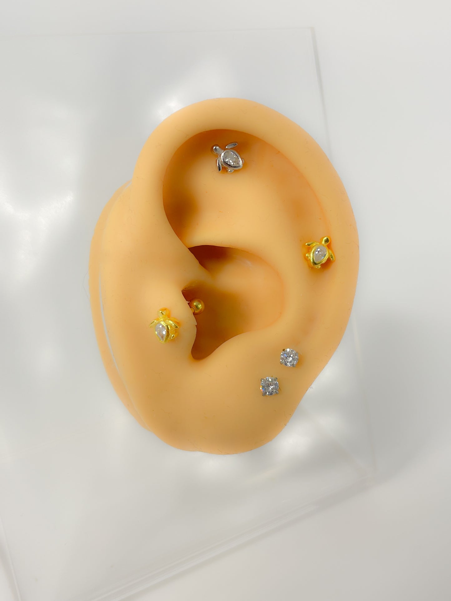 Piercing 925 Silber vergoldet Schildkröte