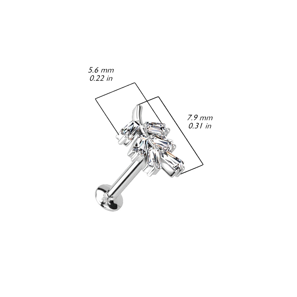 Piercing 316l chirurgen stahl Nature