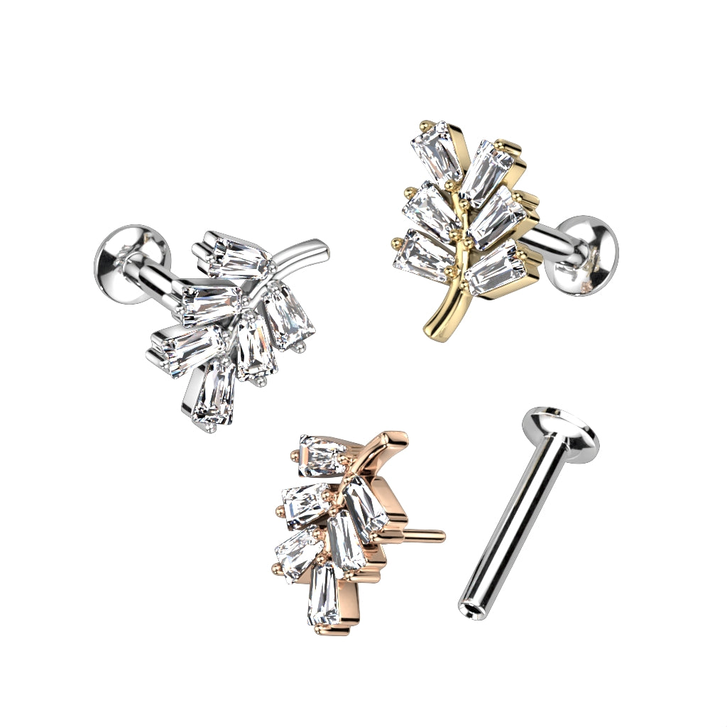 Piercing 316l chirurgen stahl Nature