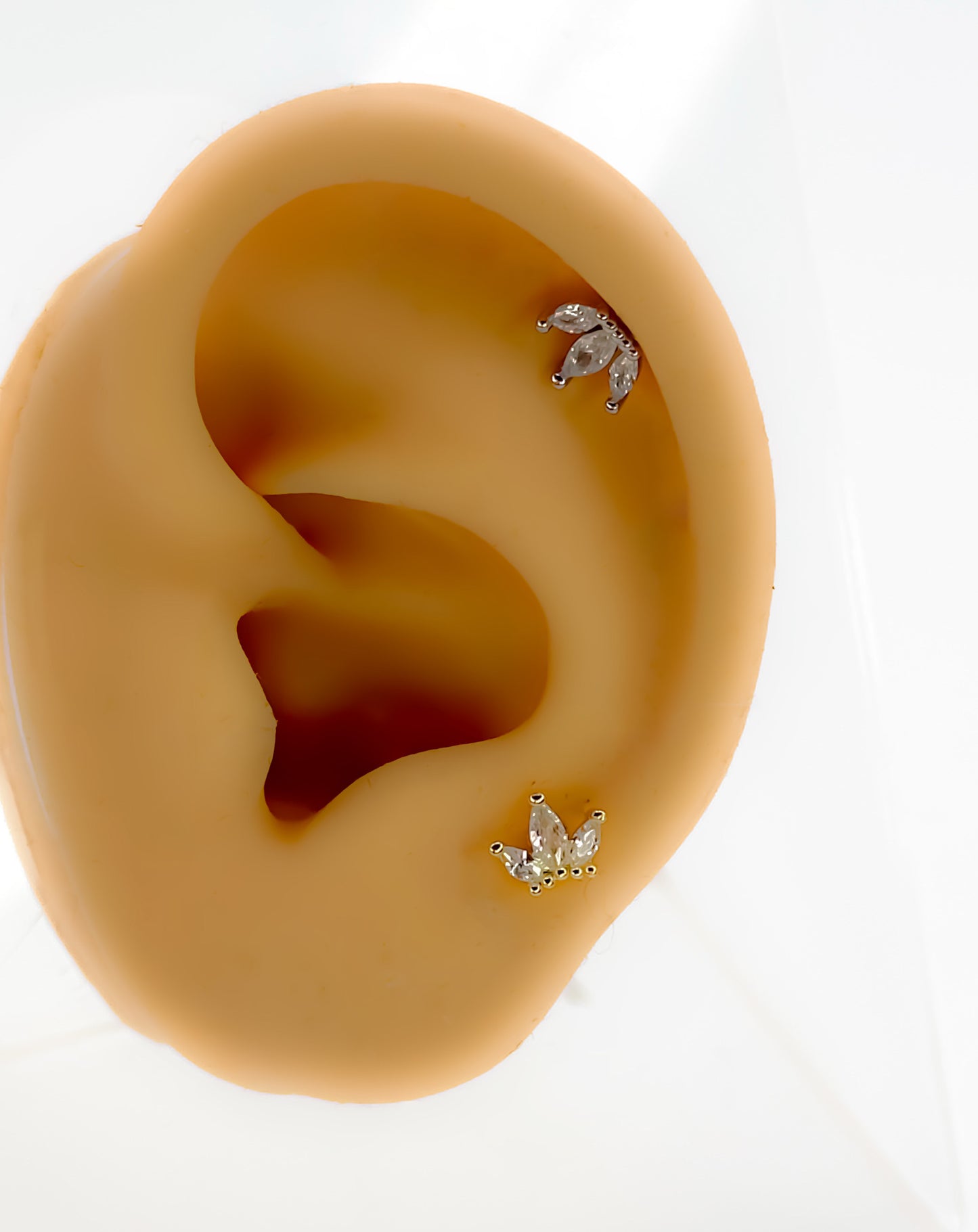 Helix Lotus 316l Chirurgen Stahl
