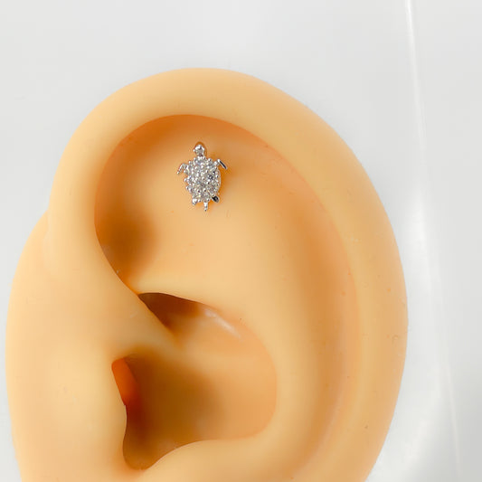 Piercing 316l chirurgen Stahl Schildkröte