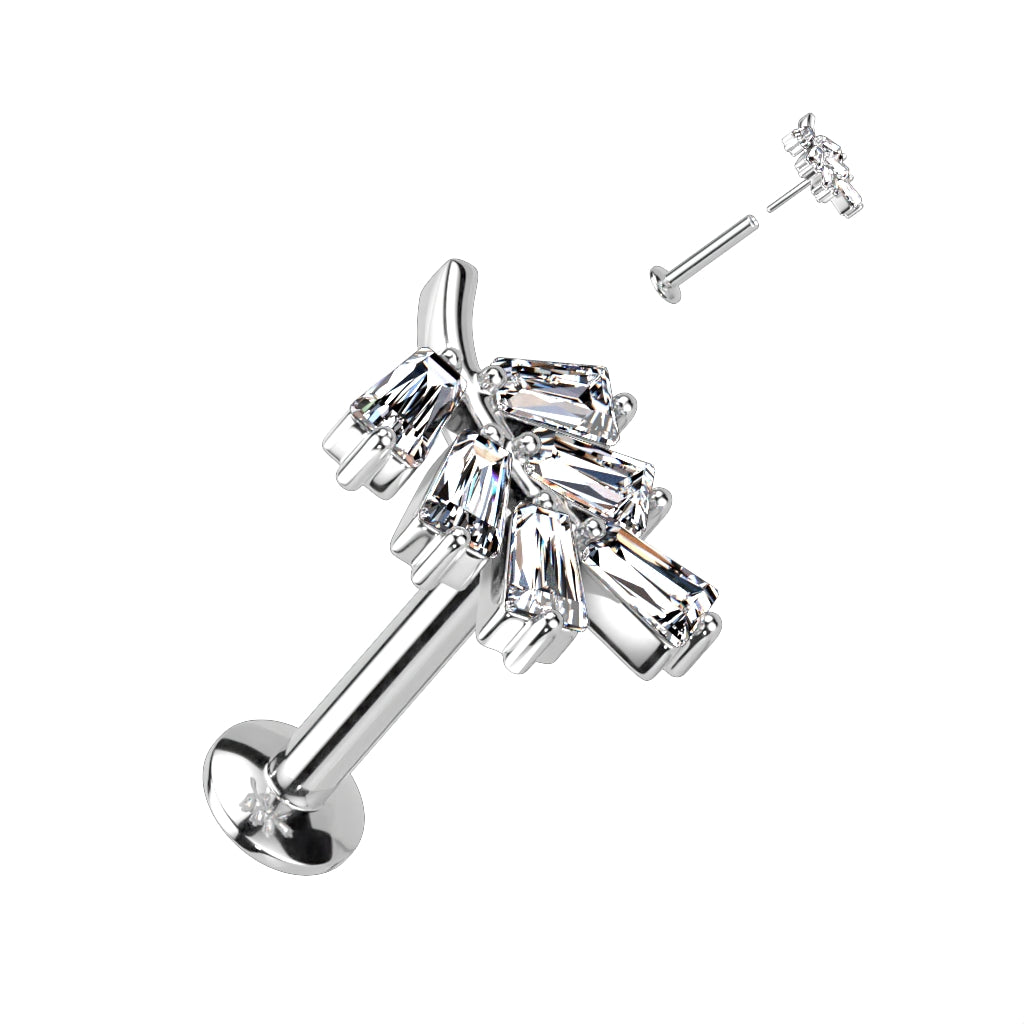 Piercing 316l chirurgen stahl Nature