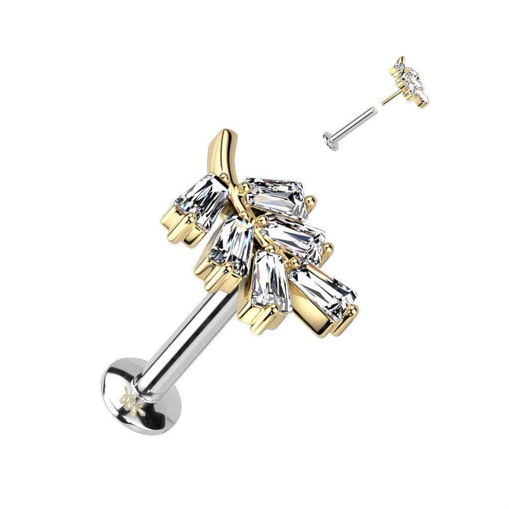 Piercing 316l chirurgen stahl Nature